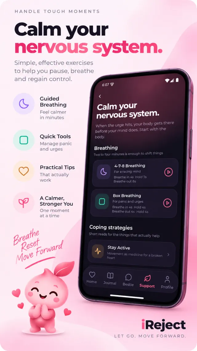 iReject private journal